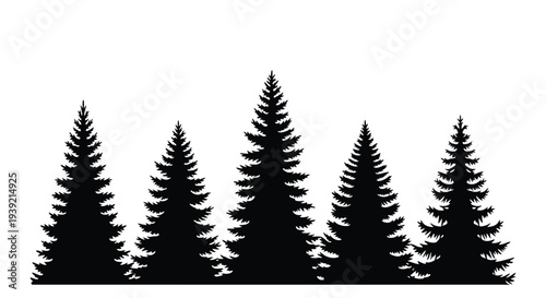 Dark forest of coniferous trees against a white background silhouette