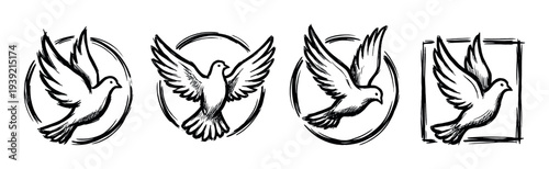 Four black ink hand-drawn dove illustrations in a grunge brush stroke style, showing the birds flying with wings spread inside circular and square frames as symbols of peace