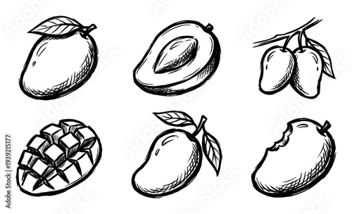 Set of hand-drawn mango fruit illustrations in a black and white sketch style, showing whole, sliced, diced, bitten, and hanging mangoes in a simple doodle collection