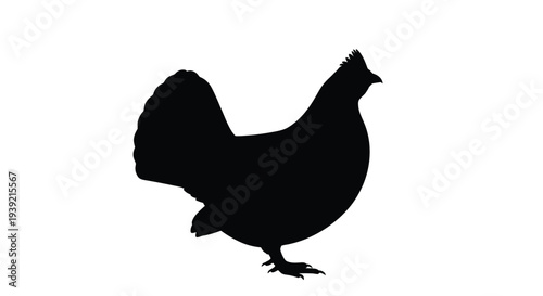 Silhouette of a chicken standing in profile against a white background