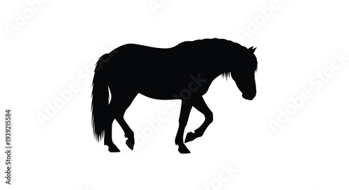 Silhouette of a horse walking forward against a white background