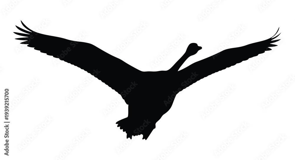 Fototapeta premium A striking silhouette of a bird in full flight with wings spread