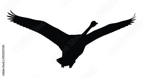 A striking silhouette of a bird in full flight with wings spread