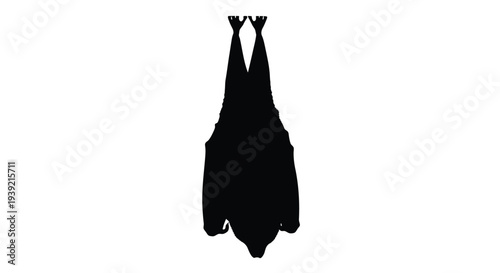A dark silhouette of a bat hanging upside down on a white background