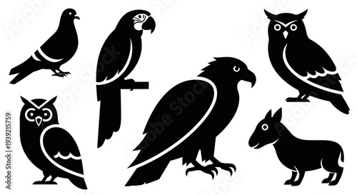 Diverse Animal Silhouettes Collection: Birds and Donkey Icons in Black and White