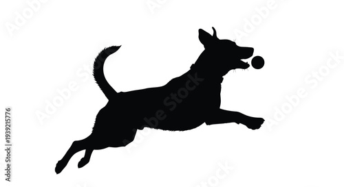 Silhouette of a playful dog leaping to catch a ball in mid air