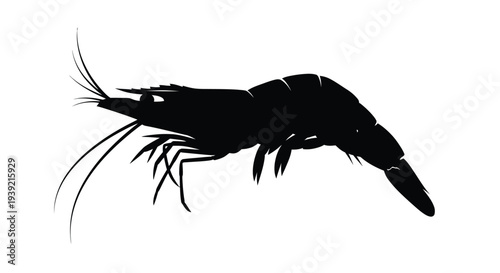 Black silhouette of a shrimp with long antennae and curved body