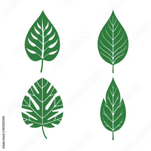Set of green leaf icons. Leaves of trees and plants. Leaves icon. Collection green leaf. Elements design for natural, eco, bio, vegan labels. Vector