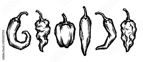 Six different types of hot chili peppers illustrated in a bold, black and white graphic style with expressive, sketchy lines and cross-hatching details for a rustic, handmade feel