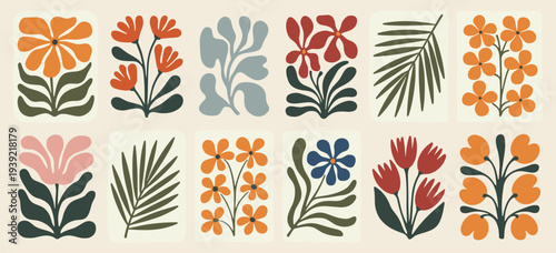 Collection Of Mid Century Modern Botanical Illustrations