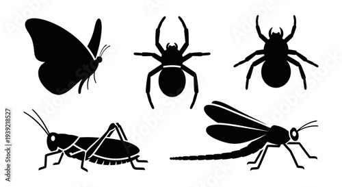 Diverse Insect and Arachnid Silhouettes Set: Butterfly, Spiders, and Grasshoppers Collection