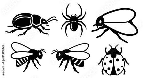 Diverse Insect and Bug Silhouette Icons: Beetle, Spider, Fly, Bee, Wasp, Ladybug Set