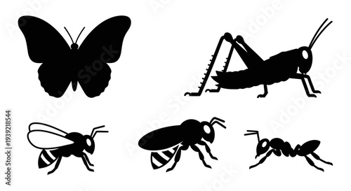 Diverse Insect Silhouettes Collection: Butterfly, Grasshopper, Bee, and Ant Icons