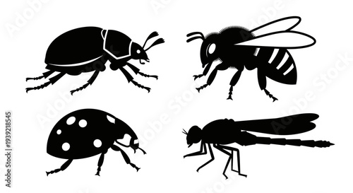 Diverse insect silhouettes: beetle, bee, ladybug, and dragonfly graphic set