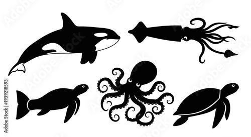 Diverse Marine Animals Silhouettes Set: Orca, Squid, Octopus, Manatee, and Sea Turtle