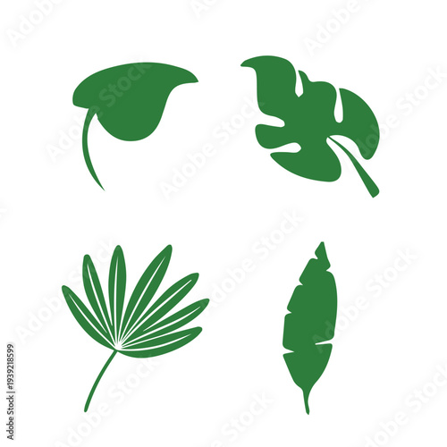 Set of green leaf icons. Leaves of trees and plants. Leaves icon. Collection green leaf. Elements design for natural, eco, bio, vegan labels. Vector