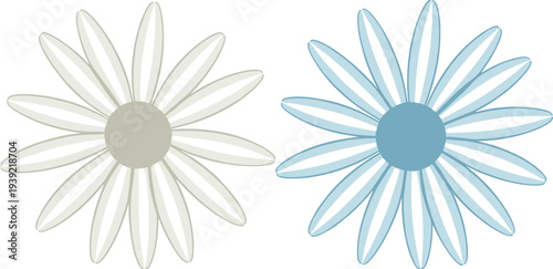 Two Daisy Flowers in Different Colors Keywords: daisy, flower, floral, bloom, petals, nature