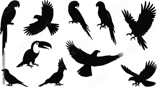 Black tropical bird silhouettes collection, parrots, toucan, exotic birds perched, flying, wings spread, animal shapes for nature, vector illustration design