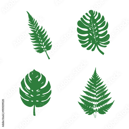 Set of green leaf icons. Leaves of trees and plants. Leaves icon. Collection green leaf. Elements design for natural, eco, bio, vegan labels. Vector