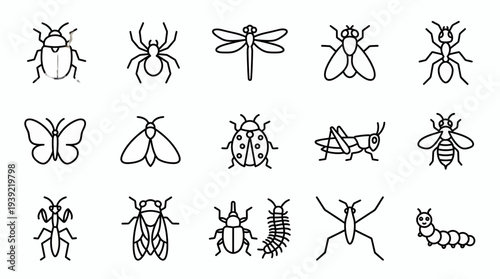 Minimalist black line icons set representing various insect species on white background, concept for educational biology materials, wildlife infographics and nature mobile app interface
