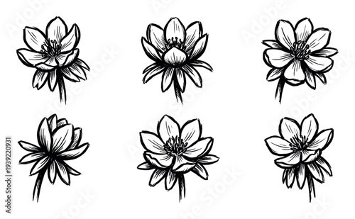 Set of six hand-drawn black ink flowers in a sketchy artistic style, a beautiful botanical collection of monochrome floral illustrations with delicate petals and stems