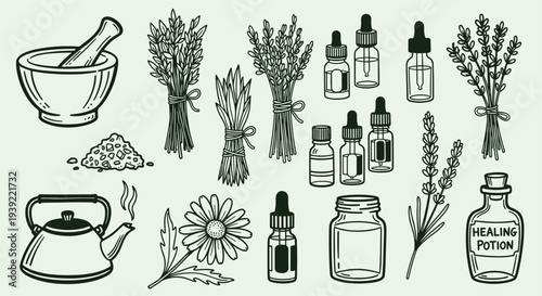 Herbal remedies and natural healing ingredients collection for alternative medicine and wellness