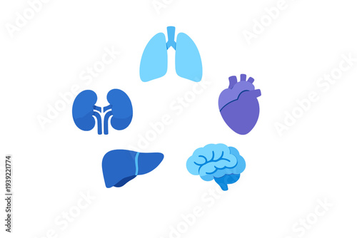 A collection of stylized human organ icons including the brain, heart, lungs, liver, and kidneys, rendered in shades of blue and purple against a solid black background.