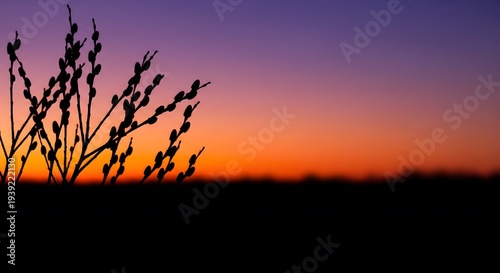 Silhouetted pussy willow branches against a vibrant purple and orange sunset sky, tranquil evening nature scene created with generative AI