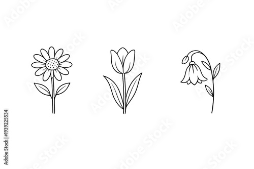 A set of three simple minimalist white line art illustrations featuring a daisy, a tulip, and a snowdrop, neatly arranged in a horizontal row against a solid black background.