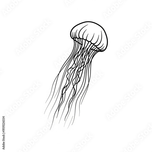 A minimalist black and white line art illustration of a jellyfish swimming in the water