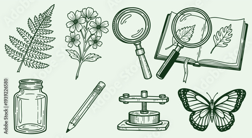 Vintage Botanical Illustration Collection Featuring Flora Fauna And Scientific Tools For Nature Study