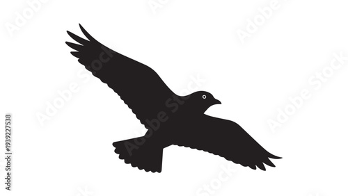 Silhouette Black Crow Bird Flying in Sky Minimalist Vector Illustration for Design Projects