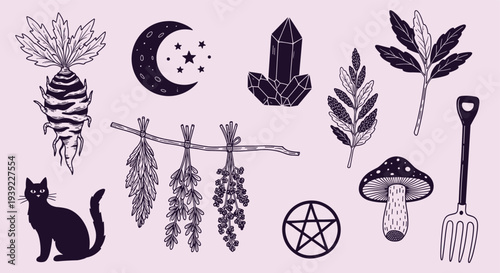 Mystical Witchcraft Elements Collection Featuring Black Cat Mandrake Root Moon Crystals Herbs and Pentagram Symbol