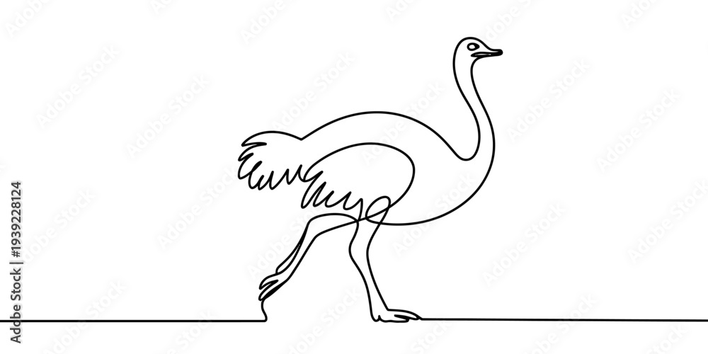 Obraz premium Minimalist ostrich single line vector large bird outline illustration design