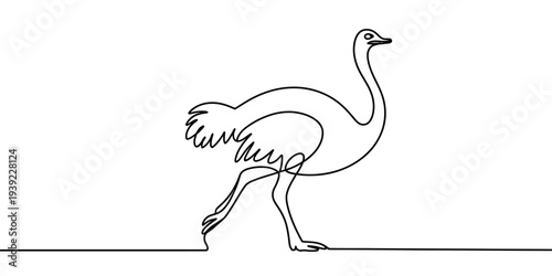 Minimalist ostrich single line vector large bird outline illustration design
