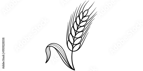 Minimalist wheat ear single line vector agriculture plant outline illustration