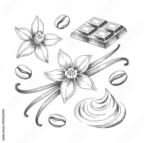 Black and white of vanilla flowers beans chocolate and cream