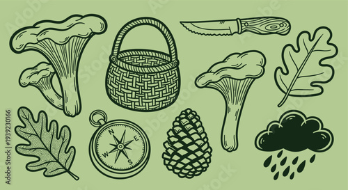 Autumn foraging elements including mushrooms, basket, compass, pine cone, oak leaves, and knife on a green background