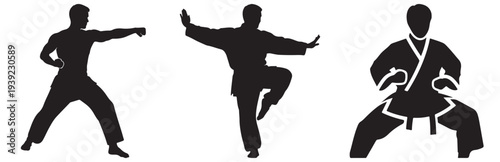 Martial arts silhouettes demonstrating diverse combat stances and movements