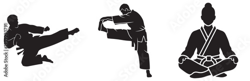 Martial arts practitioners demonstrate dynamic kicks and meditative poses in silhouette
