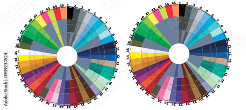 Circular Color Wheel Palette Chart With Multiple Shades Vector Guide
