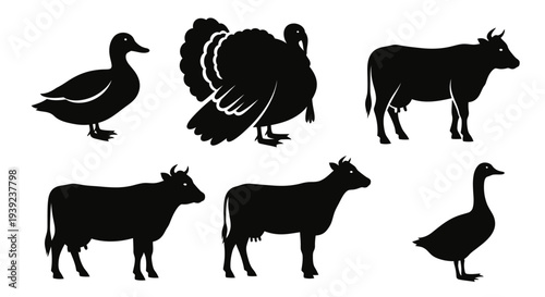 Farm animal silhouettes set: duck, turkey, and cow icons on white background
