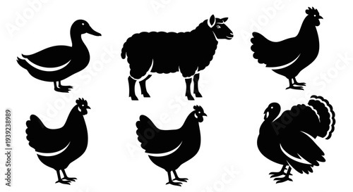 Farm Animals Silhouettes Collection - Duck, Sheep, Chicken, Turkey Icons