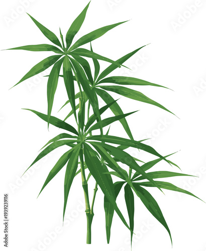  Create a realistic Ehomaki, bamboo leaves, vector art with white background.