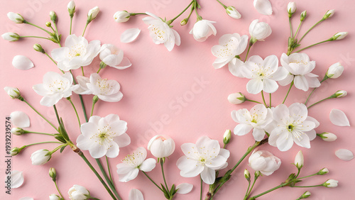 White flowers arranged in a flat lay on a pink background, elegant floral greeting card design for Women's Day or Mother's Day