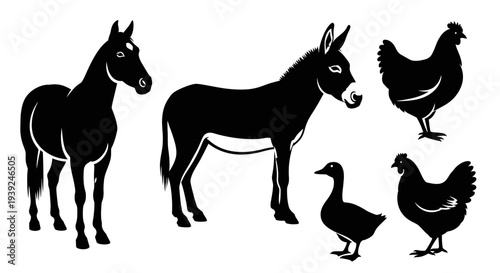 Farm Animals Silhouettes: Horse, Donkey, Chickens, and Duck Isolated on White