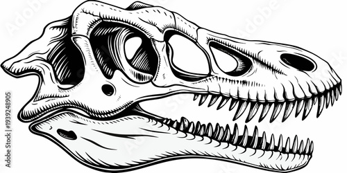 Dinosaur Skull Fossil Profile Line Art Vector Illustration