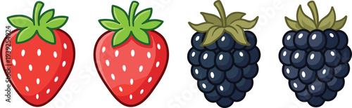 Colorful cartoon illustration of strawberries and blackberries