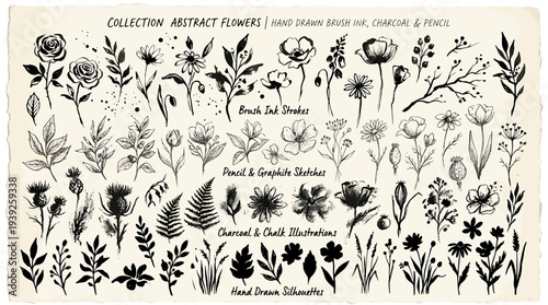 A collection of abstract flowers hand drawn in ink, charcoal, and pencil, featuring various botanical illustrations and silhouettes.