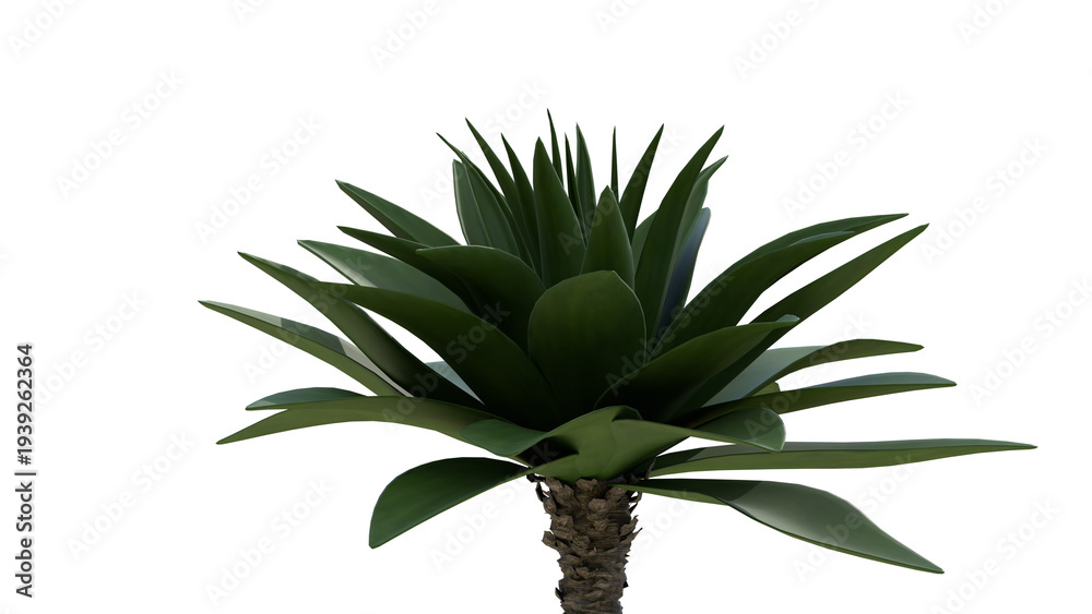 Fototapeta premium High-resolution 3D render of a modern succulent plant with long, spiky green leaves and textured stem, isolated on pure white background. Ideal for interior design, botanical projects, and digital art